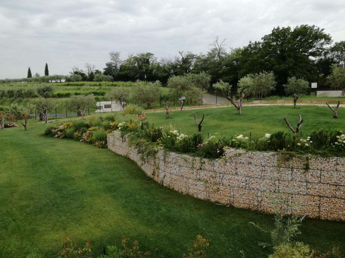 Agriturismo La Rondinella Λατζίζε Εξωτερικό φωτογραφία
