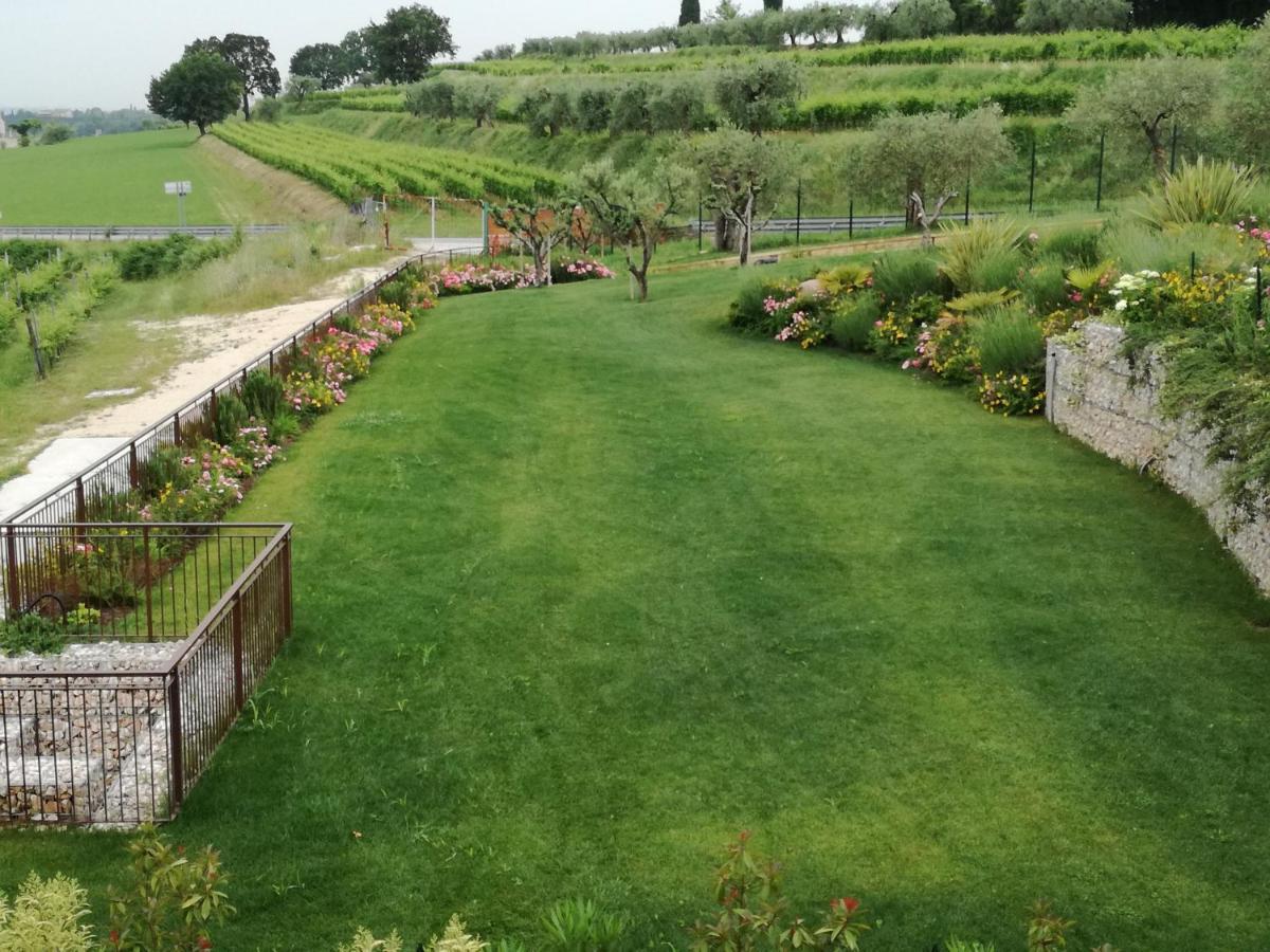 Agriturismo La Rondinella Λατζίζε Εξωτερικό φωτογραφία