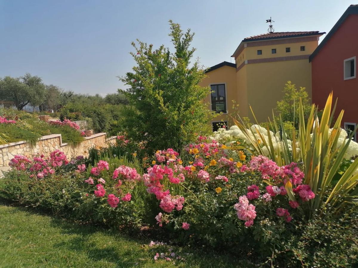 Agriturismo La Rondinella Λατζίζε Εξωτερικό φωτογραφία
